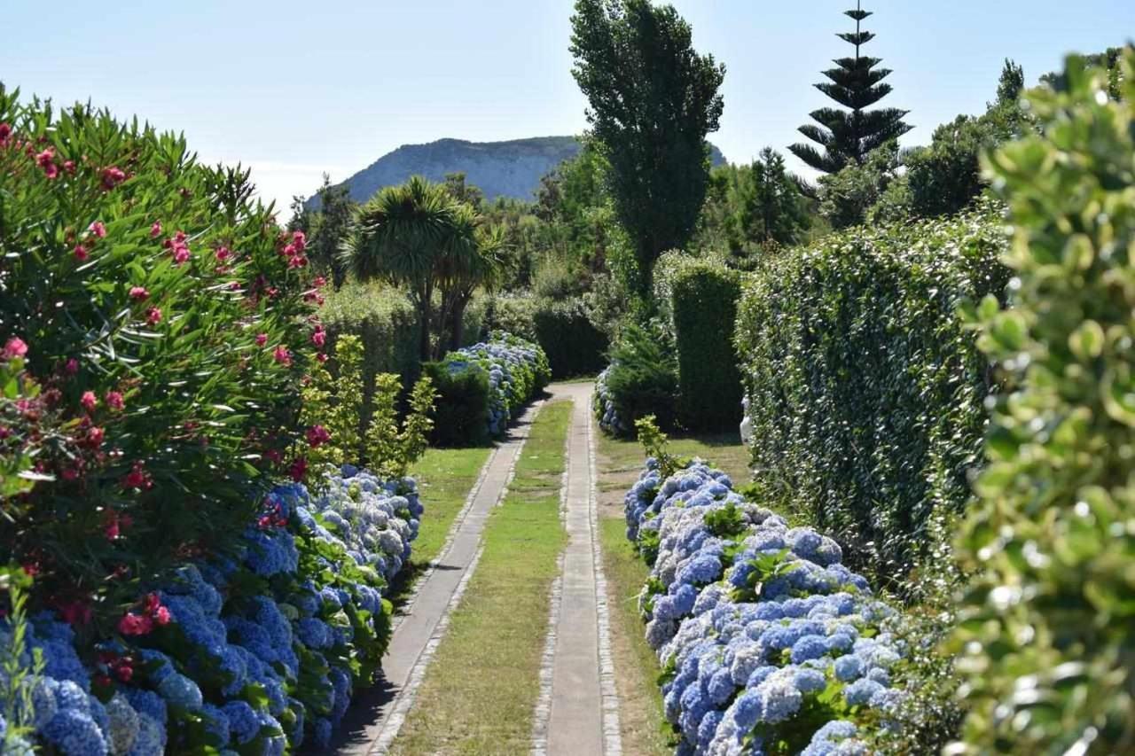 Quinta Da Meia Eira Gospodarstwo agroturystyczne Castelo Branco (Faial)